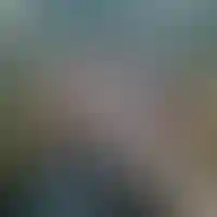 Парк